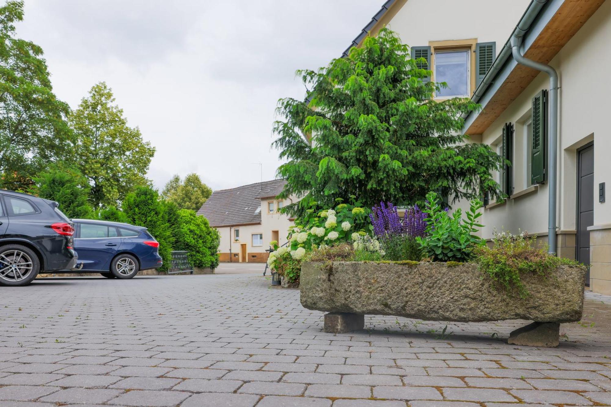 Heimatlodge Sinsheim Buitenkant foto